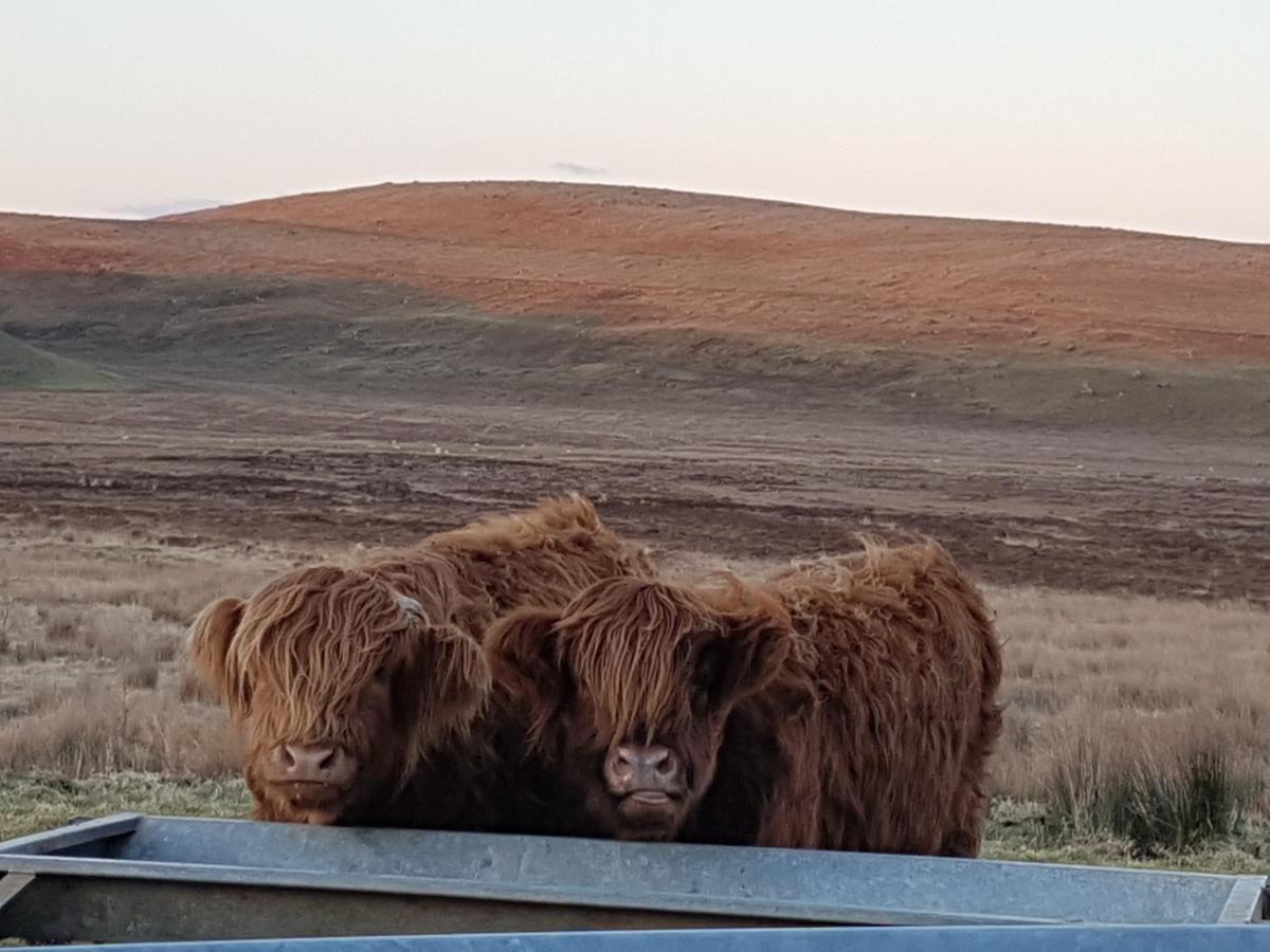 Innlands - North Skye Kilmaluag Zewnętrze zdjęcie